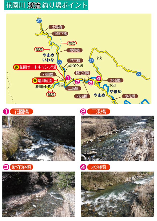 �ԉ���k���ނ��|�C���g