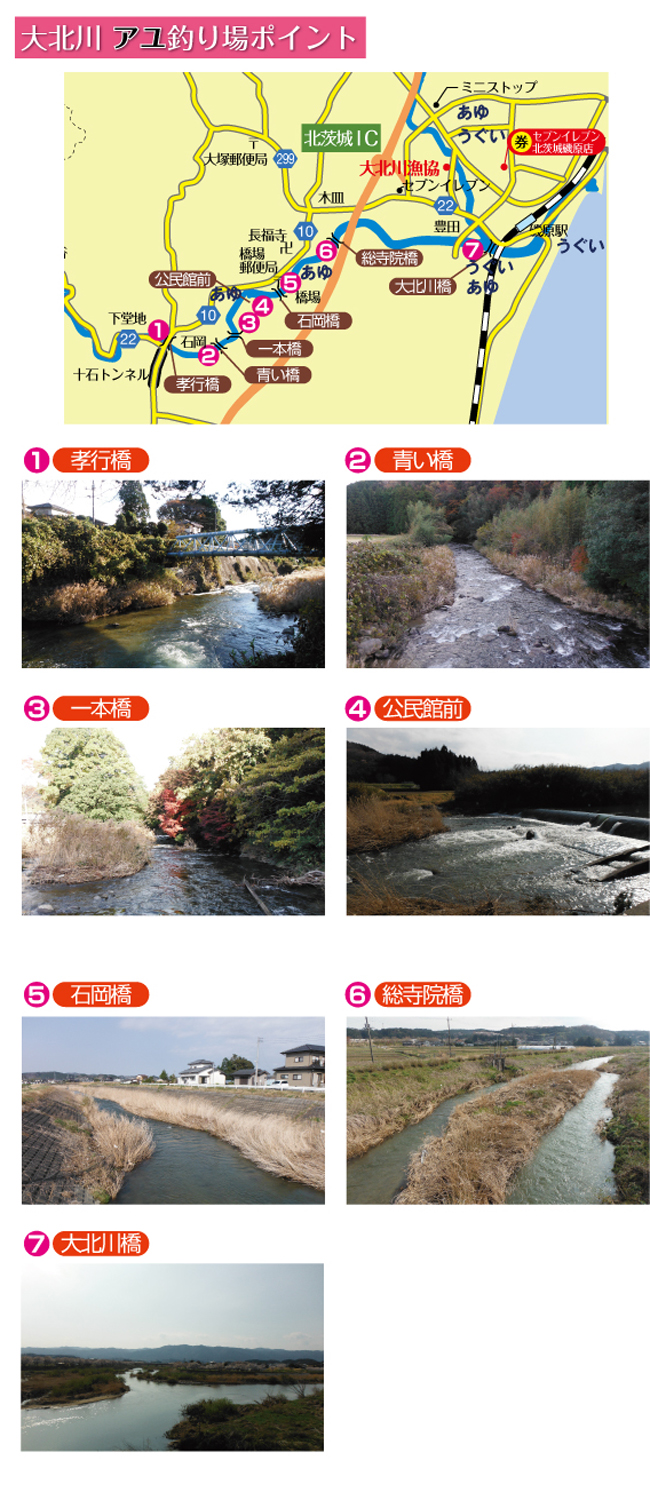 ��k�삠��ނ�|�C���g